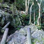 Skeleton Gorge Table Mountain hike