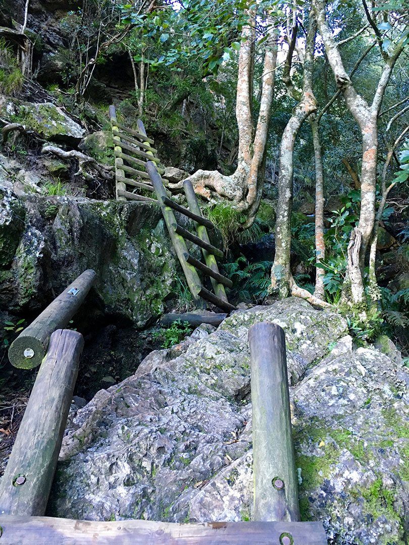 Skeleton Gorge Table Mountain hike