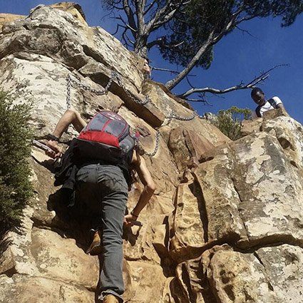 Lions Head Scramble