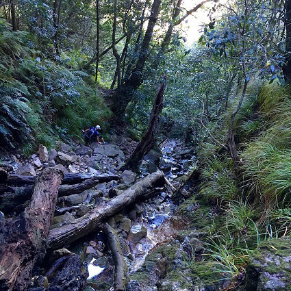 Skeleton Gorge Scramble