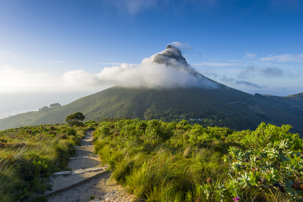 Table Mountain hiking routes