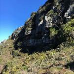 Hike up Skeleton Gorge from Kistenbosch Gardens