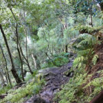 Skeleton Gorge hiking route