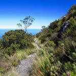 Kasteelspoort Table Mountain hike