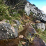Platteklip Gorge Table Mountain hike