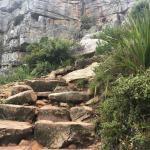 Hiking Platteklip Gorge Table Mountain