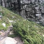 Hike up Platteklip Gorge Cape Town