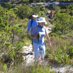 Table Top Mountain hiking Cape Town