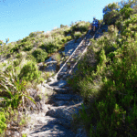 Table Top Mountain Cape Town