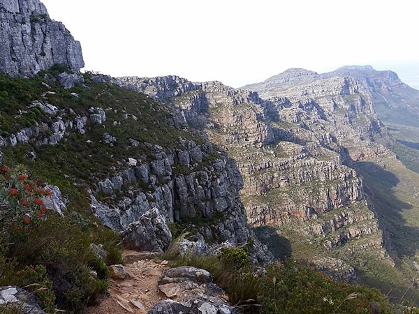 Table Mountain slopes