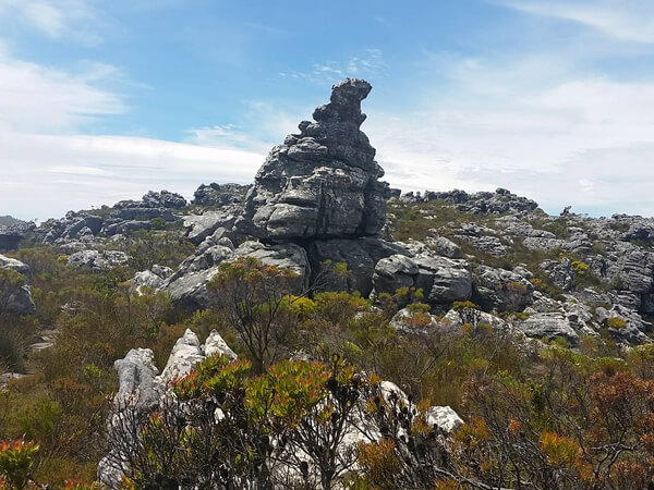 Rock formations on Table Mountain