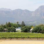 Beau constantia wine