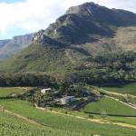 Cape Town wine tours and tatsings