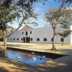 Constantia wine farm