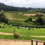 Costantia wine tour