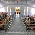 Franschhoek wine cellar tours