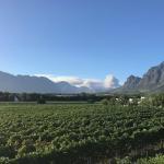 Franschhoek wine tours in Cape Town