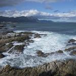 Hermanus coastline whale tours