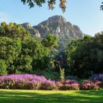 Kirstenbosch Botanical Gardens tour