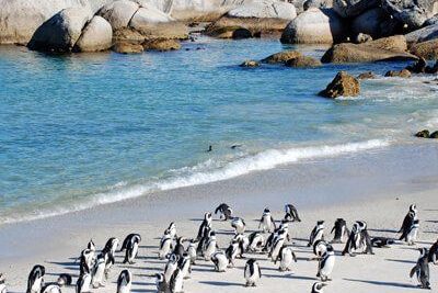 Cape Town Private tour