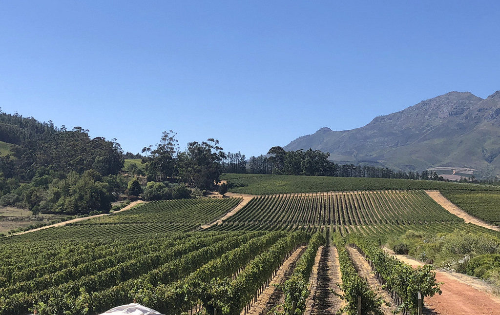 Stellenbosch Cape Town