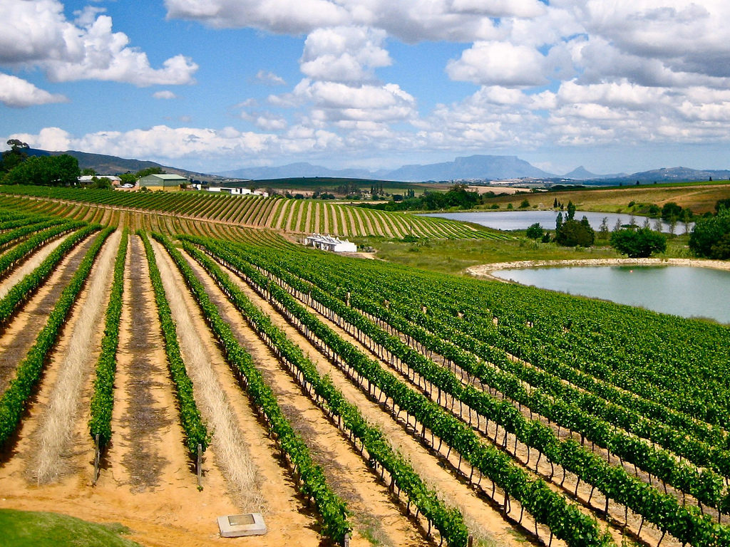 Stellenbosch wine farms