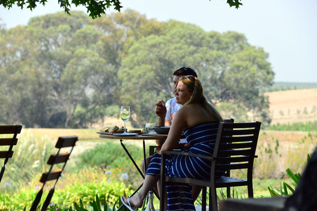 Stellenbosch wine tours
