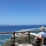Whale watching tours from the coast