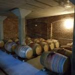 Wine cellar tour south africa