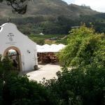 Wine tours cape town half day