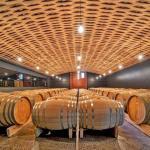 cellar room wine tasting tour