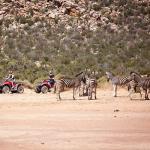 safari Cape Town Quad bike