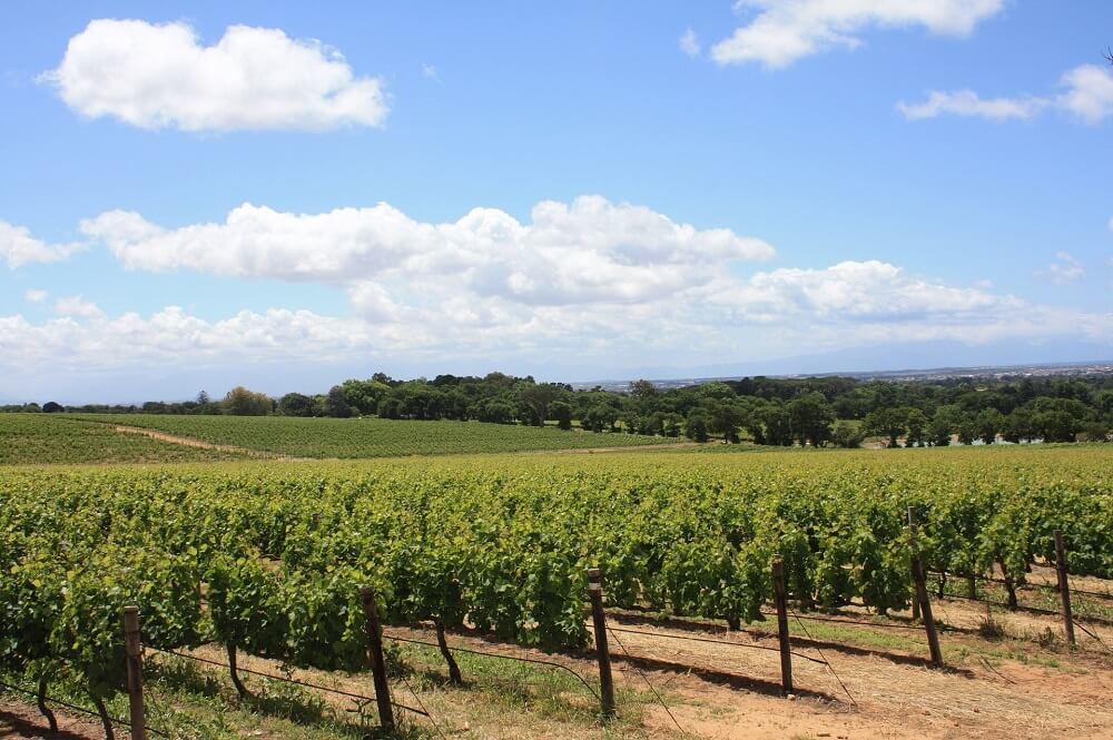 South Africa Winelands