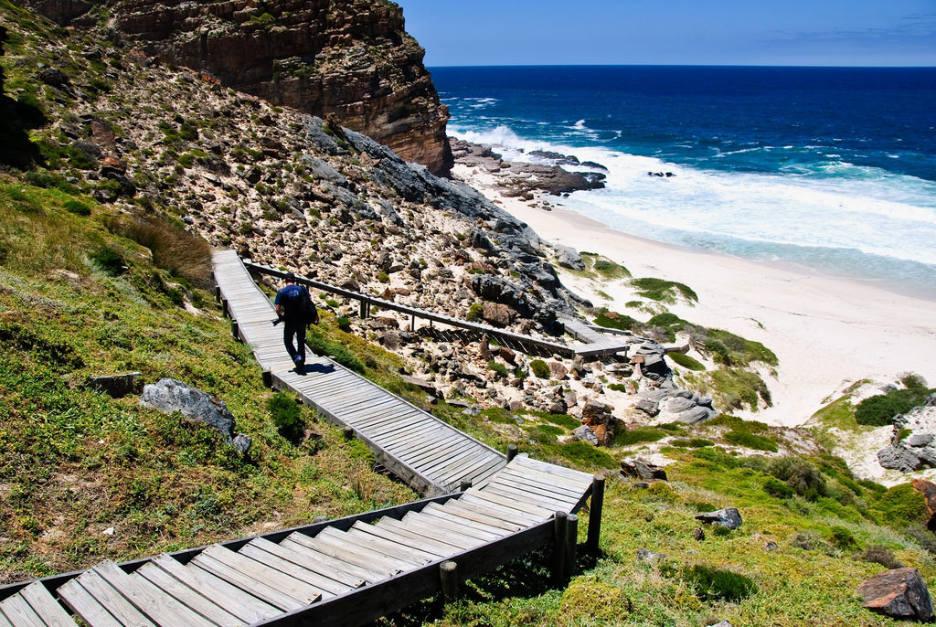 tour to cape point