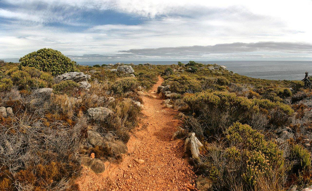 Hiking path in Cape Town South Africa