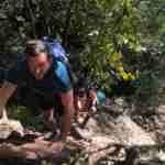 Hiking up Skeleton Gorge from Kistenbosch Gardens