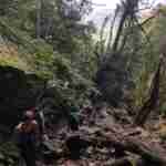 people hiking up Skeleton Gorge