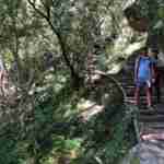 Skeleton Gorge hiking route from Kistenbosch Gardens to Table Mountain