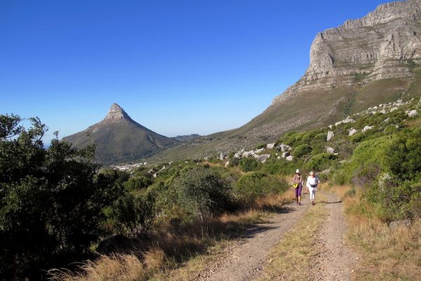 Table Mountain hike Pipe Track