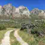 Hiking over to Kirstenbosch gardens