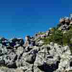 Secret hike on top of Table Mountain