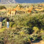 Inverdoorn Private Game Reserve walking tours