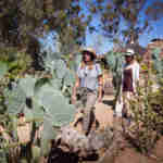 Walking Safari at Inverdoorn Game Reserve