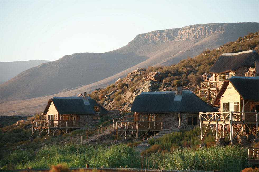 Safari jclose to Cape Town