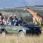 Gondwana Game Reserve