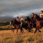 Botlierskop horse riding