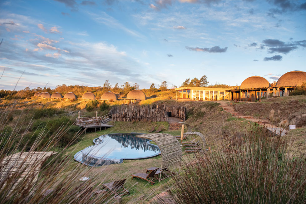 Safari from Cape Town