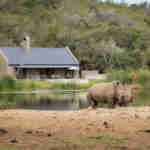 Safaris on the Garden Route