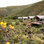 Chalets at Gondwana Game Reserve