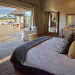 Gondwana suites